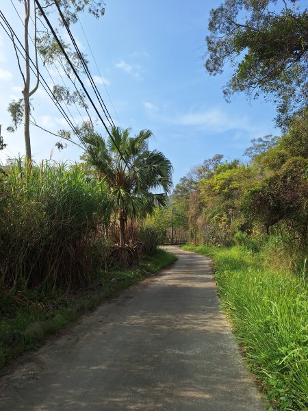 頭份鹿廚坑健行步道2734344