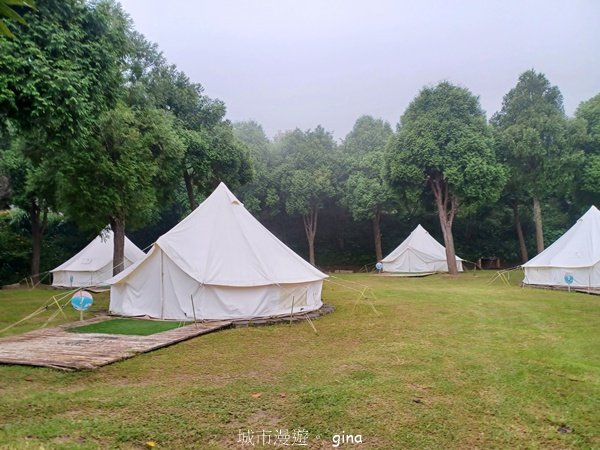 【新竹五峰】迷霧山林。 民都有山登山步道(面托油山)x民都有山北峰2991904