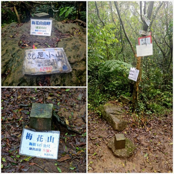 2025臺北大縱走第四段：風櫃口至中華科技大學2973497