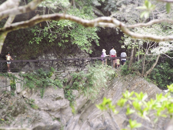 砂卡礑步道 清水斷崖21018