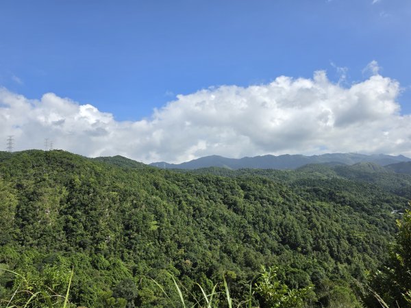 小百岳No.84⛰鵲子山3113084
