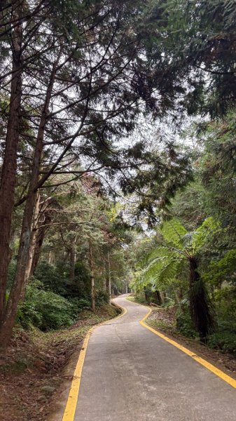 再也不爬囉（告別20252973145