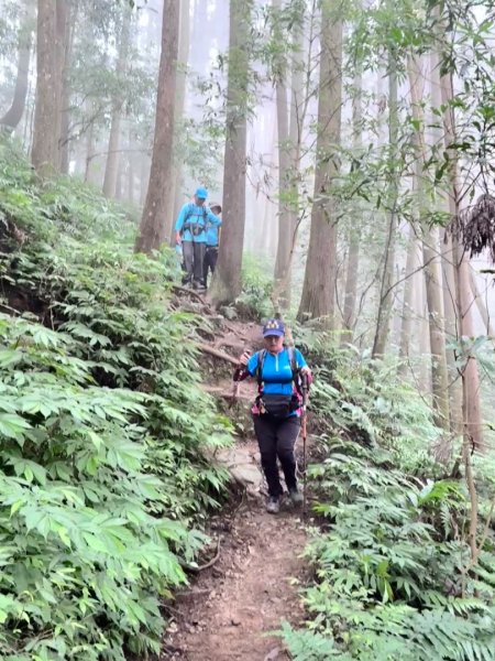 光天高山 - 向天湖山(小百岳32) 小O一圈2876741