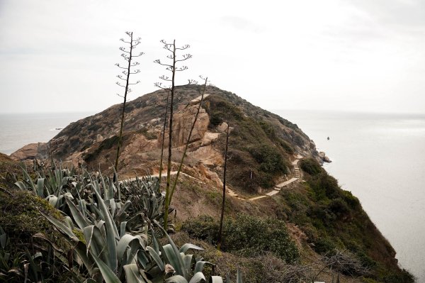 馬祖北竿螺蚌山步道2698731