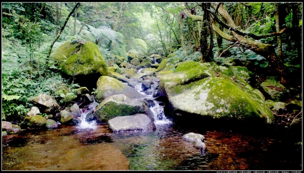 小觀音山群峰、大屯溪古道258563