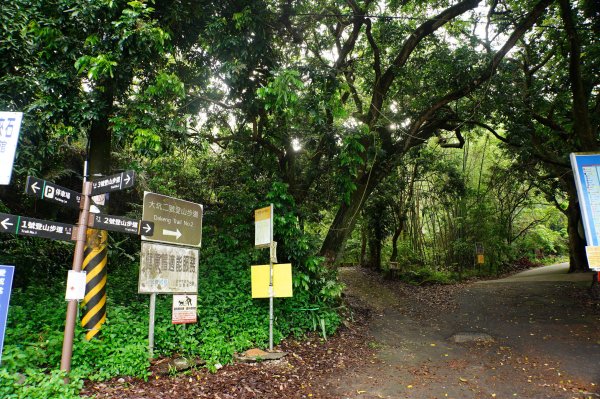 臺中 新社 頭嵙山、黑山、石苓湖山3047639