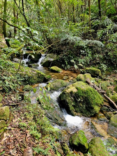 2025年臺北大縱走第四段：風櫃口至中華科大2756005