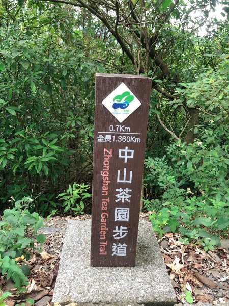 ~  中 山 茶 園 步 道  ~2580965