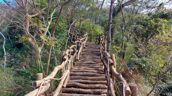 新整建的大坑三號步道到頭嵙山上下1203445