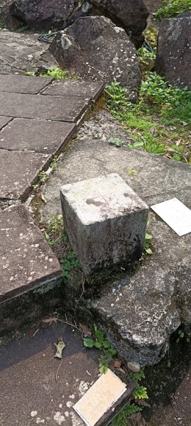 2026 4/11 龜山島3033789