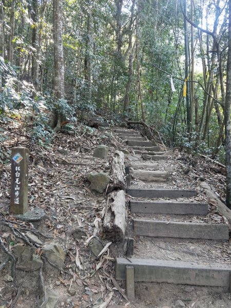 步道巡訪員│白毛山步道2月巡訪日誌848074