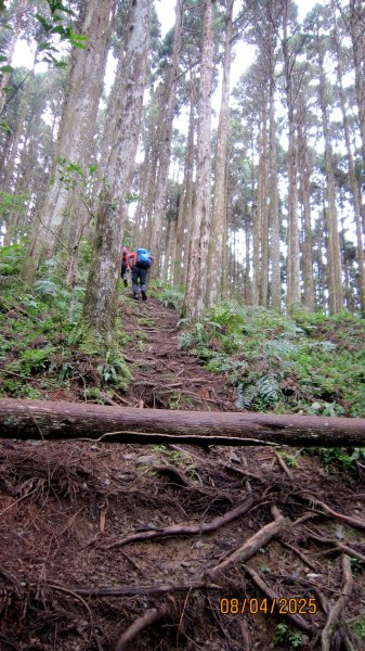 【油羅山/露營】 仙境舒活健走，雲端徜徉野趣！2887911