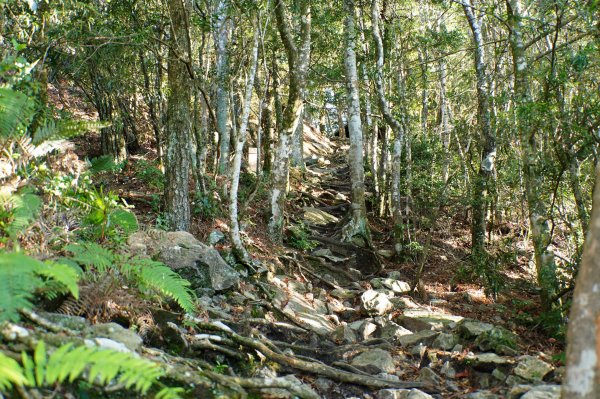 台中 和平 鳶嘴山2926848