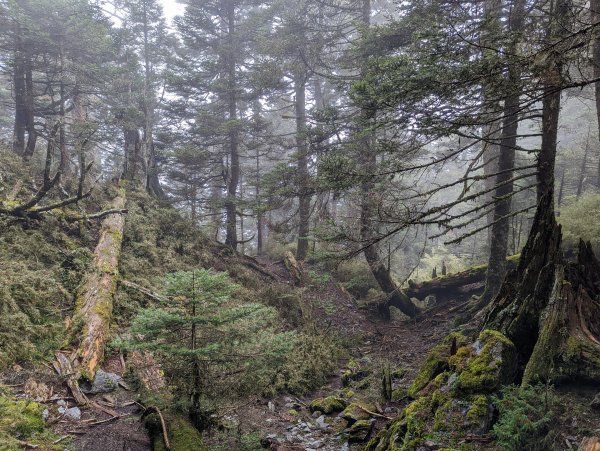 玉山西峰及山神廟、玉山主峰賞日出1838128