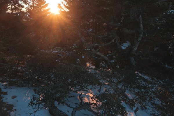 【玉山】主峰北峰二日，臺灣第一高峰雪季最美角度1881265