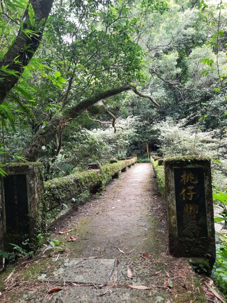 20230722 頂山石梯嶺縱走坪頂古圳，聖人瀑布2227228