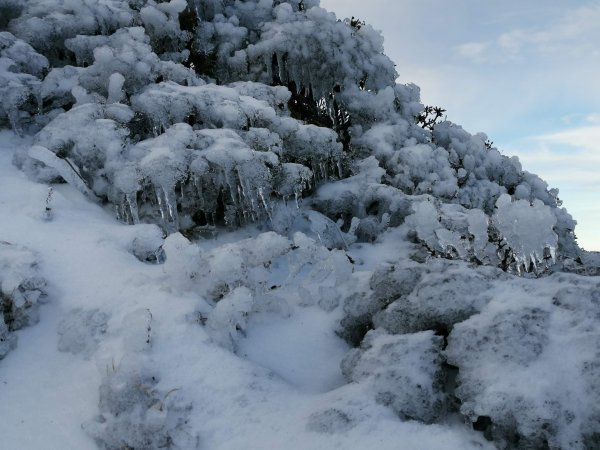 2019-12-09_奇萊主峰2日868699