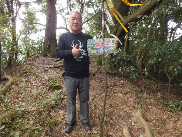 三峽區鳶尾山+福德坑東峰+福德坑山+鳶山彩壁+五十分山+壽山+龍山寺2775757