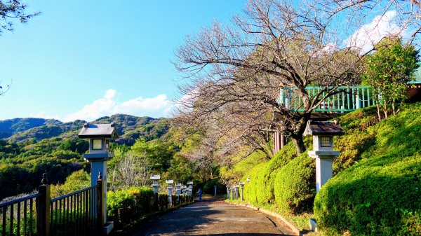 茨城縣出雲大社2929331