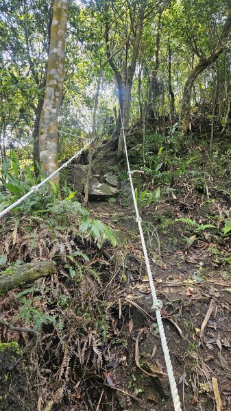 20260409四柑縱走3034421