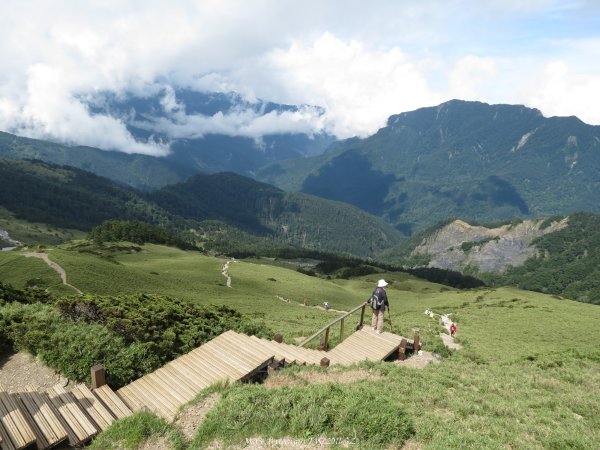 《南投》那年百岳｜合歡東峰步道