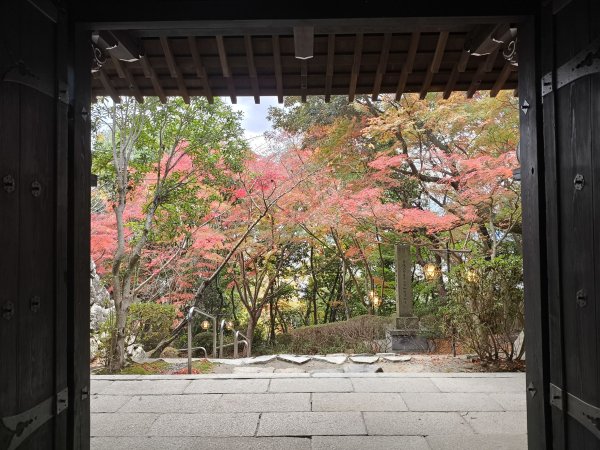 【日本健行】岡山、彥根 (近江八幡、彥根城)、姬路(書寫山圓教寺、世界遺產姬路城、好古園)2946490