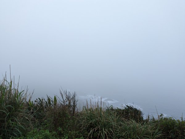 2023-02-11 忘憂谷步道2792588