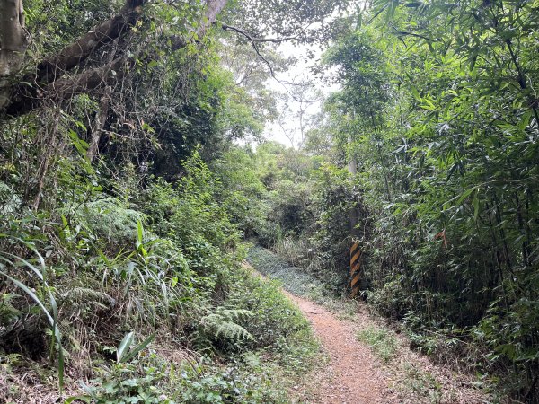 [皮皮獅探險隊-04/10] 2025_0706 三段崎古道2831748