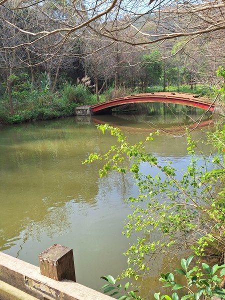 頭份鹿廚坑健行步道2734345