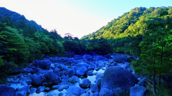 南九州－屋久島繩文杉步道3063479