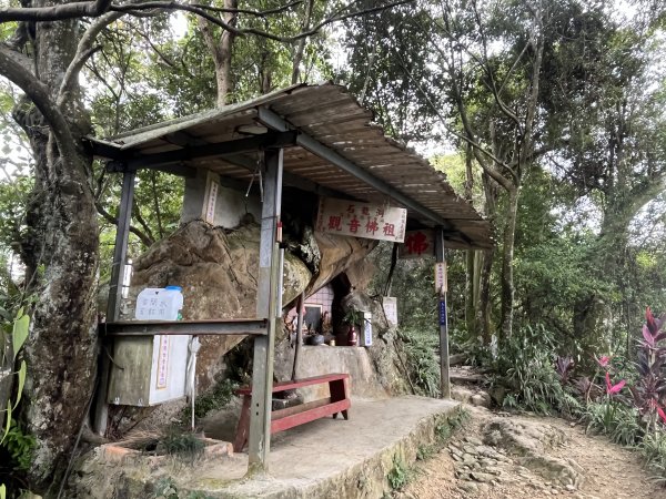 [微笑山線_第五段] 2025_0705 天上山系_南勢角山2830441