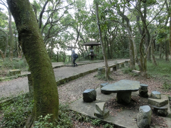 大崙頭尾山92934