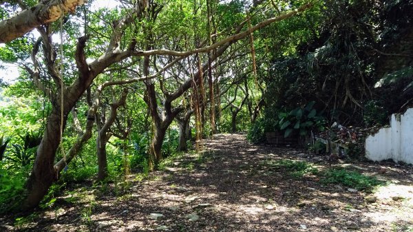 串珠步道,二砂灣砲台,大砂灣西東砲台,綠丘砲台,基隆塔2257497