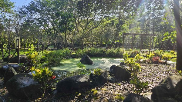 20251107大路崁登山步道-磺溪頭清水園區2930794