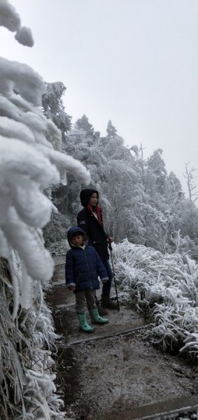 太平山第一場雪【台灣山毛櫸國家步道】1222365