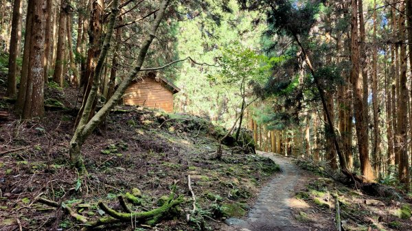 加里山，橫龍山，騰龍山，橫龍古道，鳥嘴山（上島山），南十八尖山，崎頂子母隧道，青青草原1885531