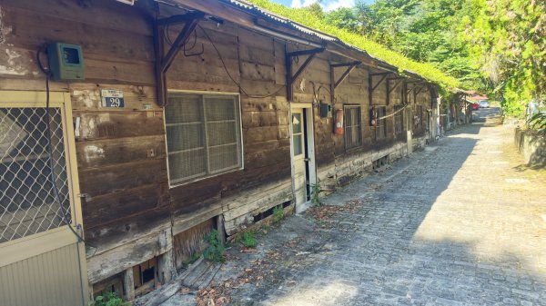 東卯山(谷關七雄No:5)3129236
