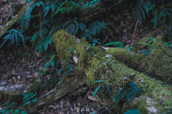 霞山鐵道野營2843092