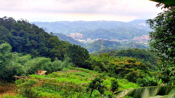 炮子崙瀑布，炮子崙古道，土庫岳，山豬窟尖，小南港山，山水綠生態公園，汐止三秀山，拱北殿後山步道1732956