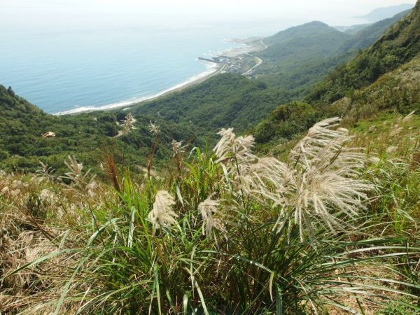 草嶺古道100915