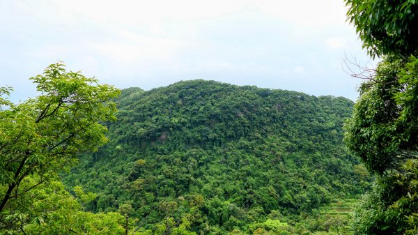 白石湖沒有百合花。晶片關稅2781579