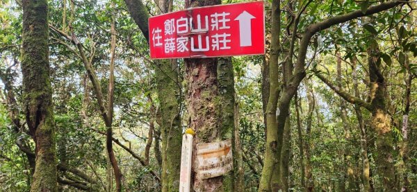 【中級山縱走】志繼山，東眼山，拉卡山，卡外山，東滿步道2742579