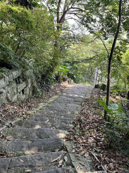 [2024觀音觀鷹尋寶任務-7/7] 2024_0511 福隆山登山步道2502264