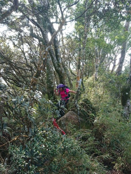 那結山（嘎色鬧部落線）893436