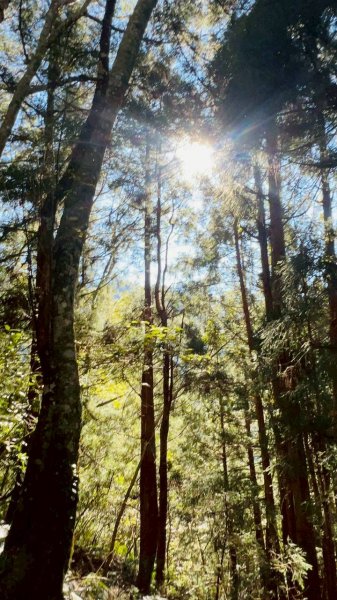 🌈11/22（六）-23（日）霞喀羅古道全段✨FB：熊熊趴爬走🌈2944587