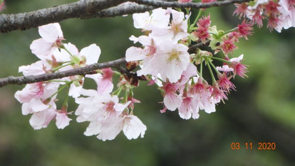 沒有意外，再度槓龜 !876568