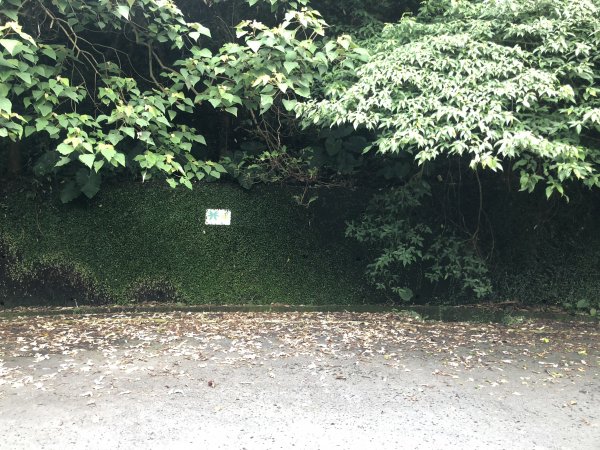 【淡蘭中路】全線連走(經泰平) | 是旅行也是修行1035166