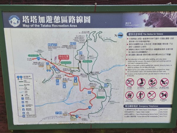 塔塔加步道（大鐵杉登山步道）2883097