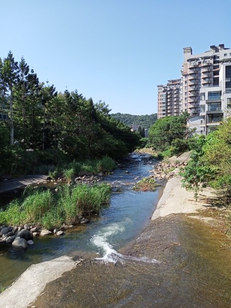 【臺北親山拓印趣】大崙頭尾山親山步道1122514