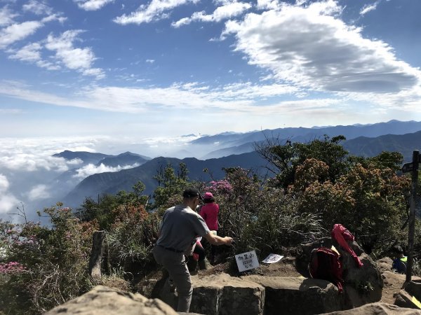 加里山杜鵑嶺P型走大坪登山口202005031965214